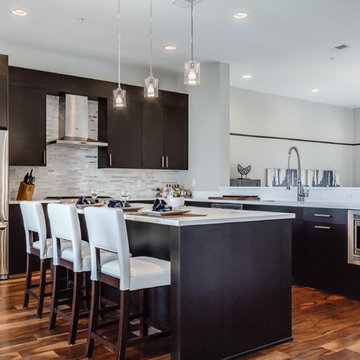 Contemporary Philadelphia Townhouse