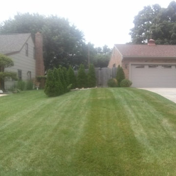 Full Service Lawn care