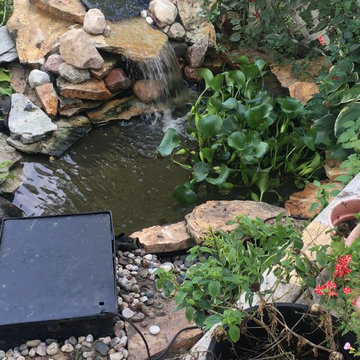 Koi Pond Enhancement