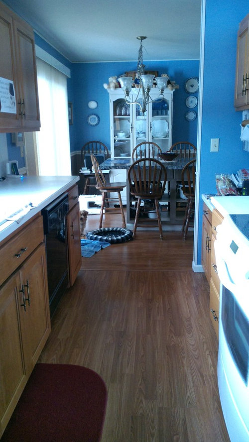 Need help extending my galley kitchen into the eating area