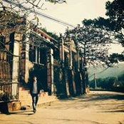 Đỗ Minh Dũng's photo