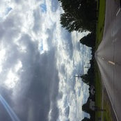 Dalton Vojvodich's photo