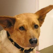 Michele Mattera's photo