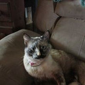 Renate Stowers's photo