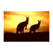 Liz West's photo