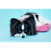 Roberta Zinman's photo