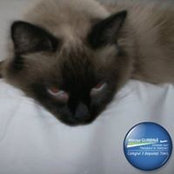 Elvira Popeti's photo