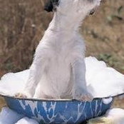 Kim Myers's photo
