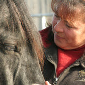 Helene Perreault's photo