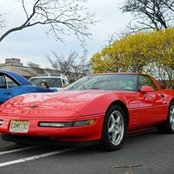 Sharon Giovacchini's photo