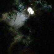 Foto de Michael Walker