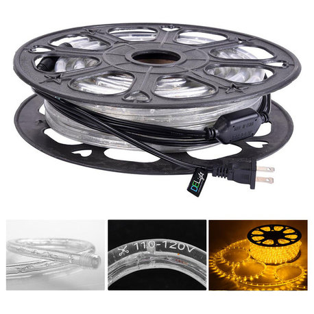 DELight 150" LED Strip Neon Rope Lights Warm White with Remote Control