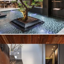 Landscape - Indoor
