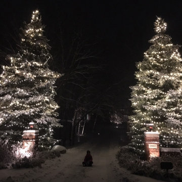 Holiday Lighting