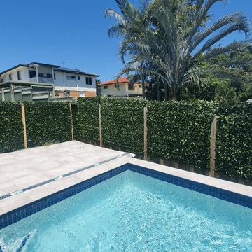 Poolside Upgrade: Old Fence Replaced with Lush Green Wall