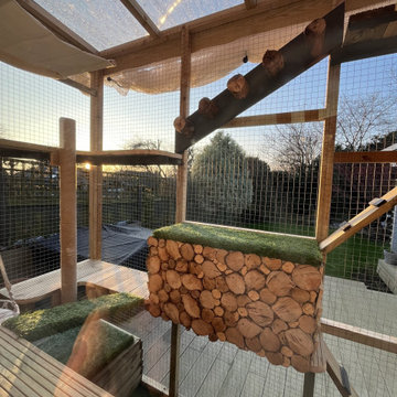 Catio build