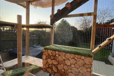 Catio build