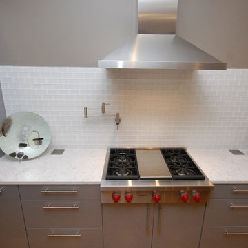 Contemporary Remodel