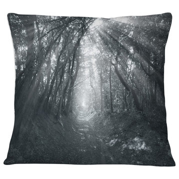 Sun Rays Through Gray Trees Landscape Photography Throw Pillow, 16"x16"