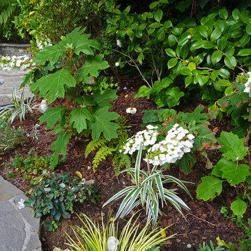Aromatic Moon Garden