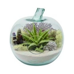Home DecorLA Candles - Products