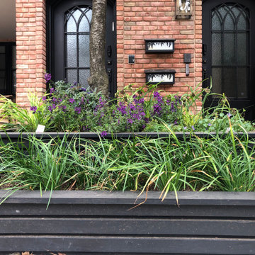 Front garden fun