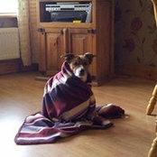 Tracey Burke's photo