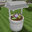 Clover Landscape Design