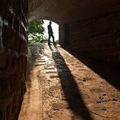 Nicholas Lee's photo