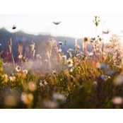 Zoya Lynch's photo