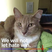 MaryBeth Melchior's photo