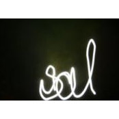 Foto von Sally Beebe