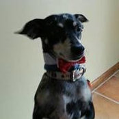 Patricia Sinacole's photo