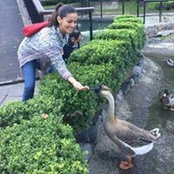 Salma OSさんの写真