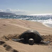 Allen Broseph's photo