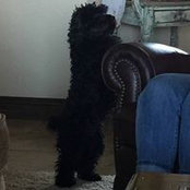 Lisa Dennison-Casper's photo
