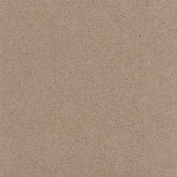 Mocha Caesarstone Quartz Countertop - Kitchen Countertops