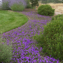 Landscape gardens