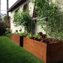 Backyard Renovation