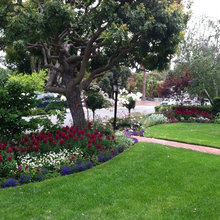 Gardens And Landscape