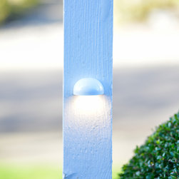 Specialty Lights - Landscape Lighting