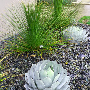 Eichler Refresh San Raphael CA
