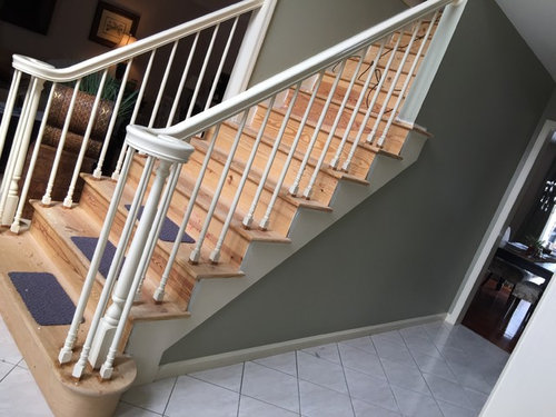 help-with-ideas-want-to-paint-handrails-possibly-brown-or-black