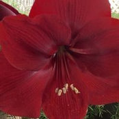 Marcia Stirman's photo