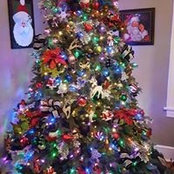 Susan McQueary's photo
