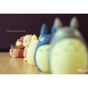 Chessy Chen's photo