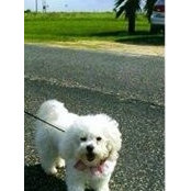 Jola Waggener's photo