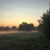 Shane Francis's photo