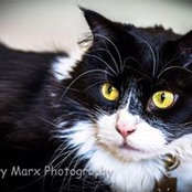 Larry Marx's photo