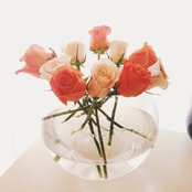 Liz Beth's photo